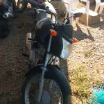 LOTE 36393
