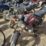 LOTE 36439