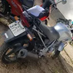 LOTE 36415