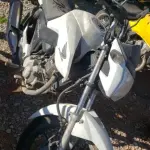 LOTE 36448