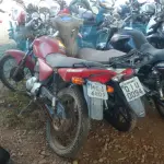 LOTE 36399
