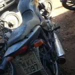 LOTE 36450