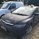 LOTE 36481