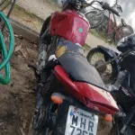 LOTE 36405