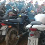 LOTE 36397