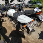 LOTE 36402