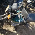 LOTE 36431