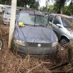 LOTE 36503