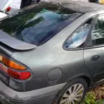 LOTE 36504