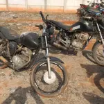 LOTE 36387
