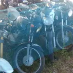 LOTE 36397