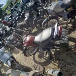 LOTE 36439