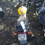 LOTE 36434