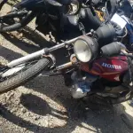 LOTE 36406