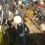 LOTE 36396