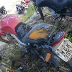 LOTE 36377