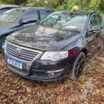 LOTE 36493
