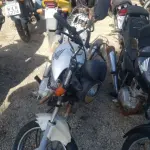 LOTE 36435