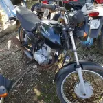 LOTE 36403