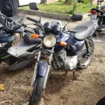 LOTE 36441