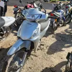 LOTE 36422