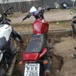 LOTE 36405