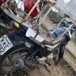 LOTE 36437