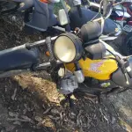 LOTE 36434