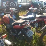 LOTE 36390