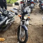 LOTE 36441