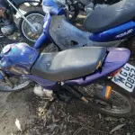 LOTE 36427