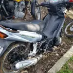 LOTE 36426