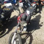 LOTE 36406
