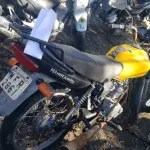LOTE 36434