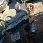 LOTE 36444
