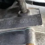 LOTE 36405