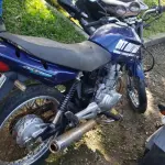 LOTE 36438