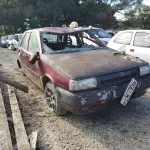 LOTE 36494