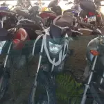 LOTE 36394