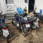 LOTE 36441