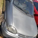 LOTE 36309