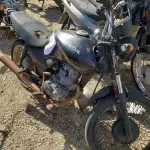 LOTE 36421