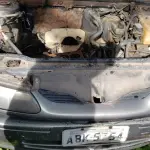 LOTE 36504