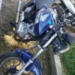 LOTE 36438