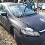 LOTE 36481