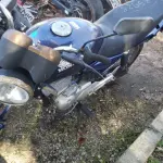 LOTE 36438