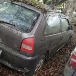LOTE 36495