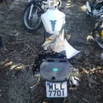 LOTE 36436