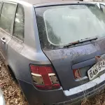 LOTE 36503
