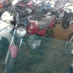 LOTE 36399